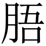 䏸: 宋体（明体）