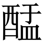 䣿: 宋体（明体）