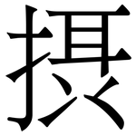 摂: 宋体（明体）