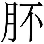 肧: 宋体（明体）