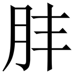 肨: 宋体（明体）