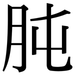 肫: 宋体（明体）
