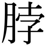 脖: 宋体（明体）