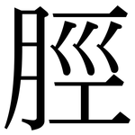 脛: 宋体（明体）