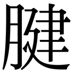 腱: 宋体（明体）