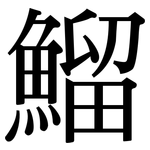 鰡: 宋体（明体）