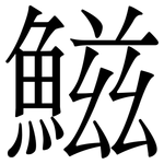 鰦: 宋体（明体）