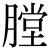 膛: 宋体(明体) 膛: 宋体(明体)