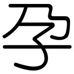 孕: 圆体 孕: 圆体