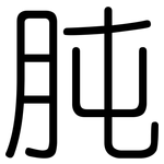 肫: 圆体