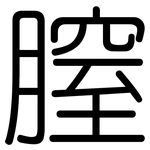 膣: 圆体