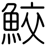 鮫: 圆体