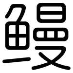鳗: 圆体