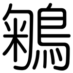 鵴: 圆体
