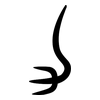 力: bronzeware script 力: bronzeware script