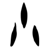 小: bronzeware script 小: bronzeware script