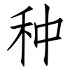 种: Fangsongti 种: Fangsongti