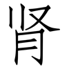 肾: Fangsongti 肾: Fangsongti