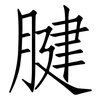 腱: Fangsongti
