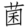 菌: Fangsongti 菌: Fangsongti