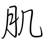 肌: Regelschrift (mit dem Füllfederhalter)