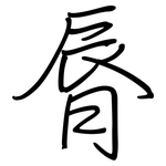 脣: Regelschrift (mit dem Füllfederhalter)