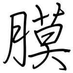 膜: Regelschrift (mit dem Füllfederhalter)