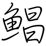 鯧: Regelschrift (mit dem Füllfederhalter)