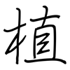 植: Regelschrift (mit dem Füllfederhalter) 植: Regelschrift (mit dem Füllfederhalter)