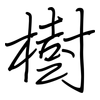 樹: Regelschrift (mit dem Füllfederhalter)