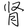 肾: Regelschrift (mit dem Füllfederhalter) 肾: Regelschrift (mit dem Füllfederhalter)