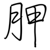 胛: Regelschrift (mit dem Füllfederhalter)
