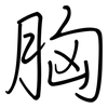 胸: Regelschrift (mit dem Füllfederhalter)