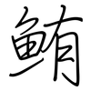 鮪: Regelschrift (mit dem Füllfederhalter)