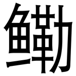 鳓: Grotesk