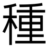 種: sans serif 種: sans serif