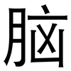 脑: sans serif 脑: sans serif