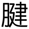 腱: Grotesk