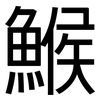 鯸: Grotesk