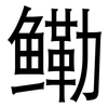 鳓: Grotesk