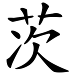 茨