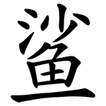 鲨 鲨