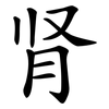 肾 肾