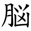 脳 脳