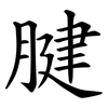 腱