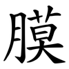 膜