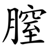 膣