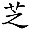 芝 芝