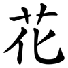 花 花