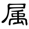 属: clerical script 属: clerical script